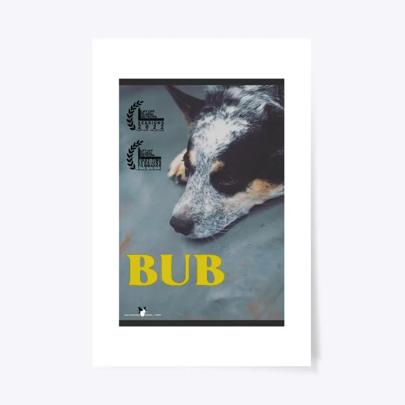 Bub Official Poster