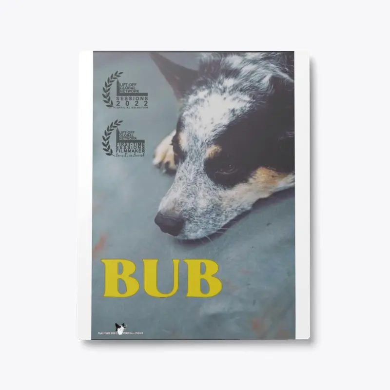 Bub Official Poster